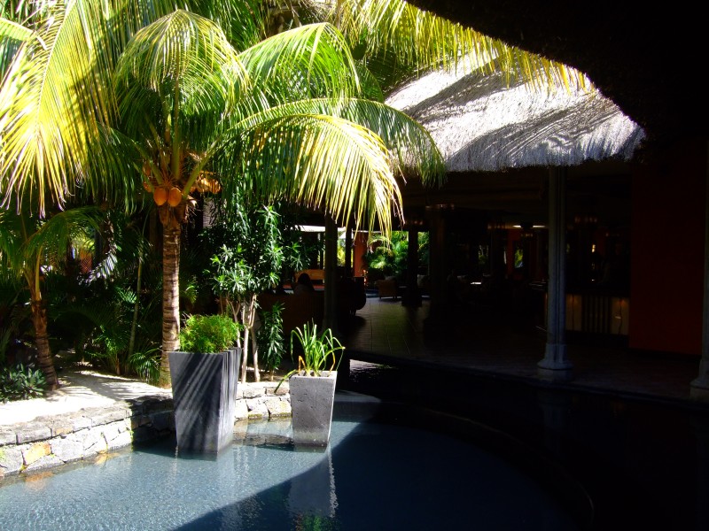 Mauritius 2010 - 0244 